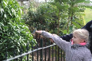 Ellen fodre musvitter i Greenwich Park